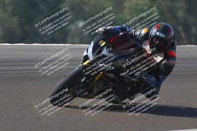 media/Nov-01-2025-TrackDaz (Sat) [[2b4d5192bc]]/B Group/1120am (Turn 2 Inside)/